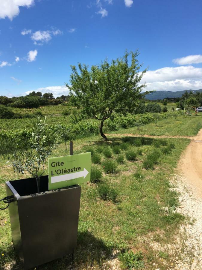 L'Oleastre En Luberon Villa Grambois Eksteriør bilde